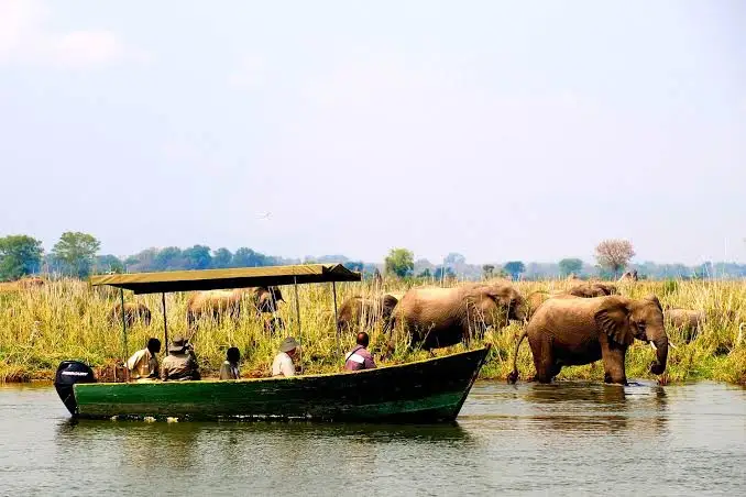 Boat Safari