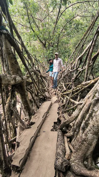 Meghalaya travel memories